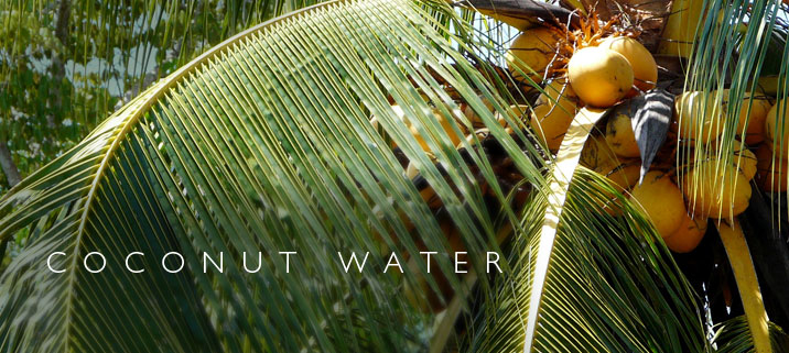 Coconut Water