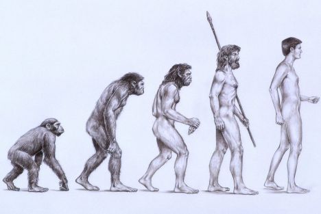 Beards Before Brains