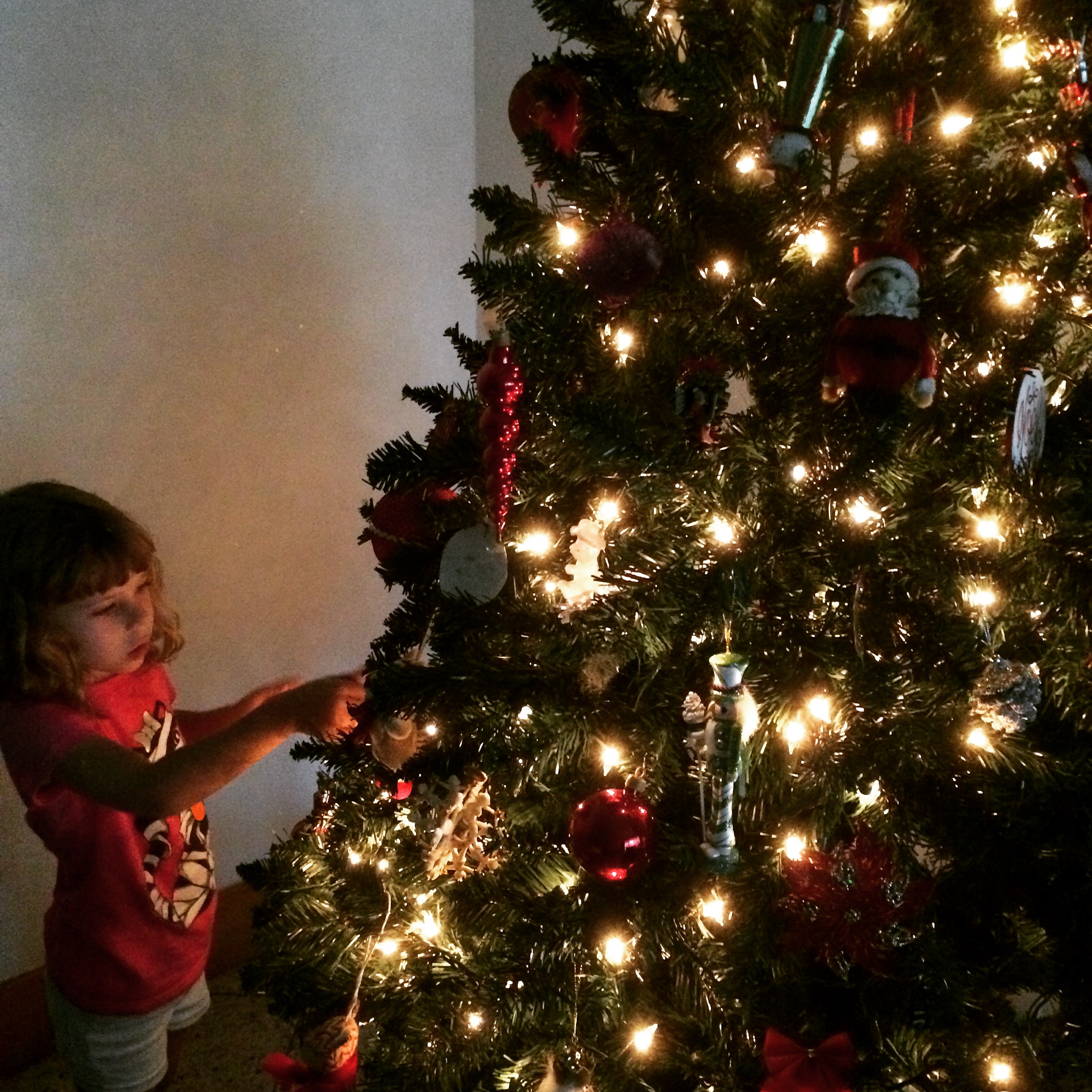 5 Ways to Improve Christmas in Brazil