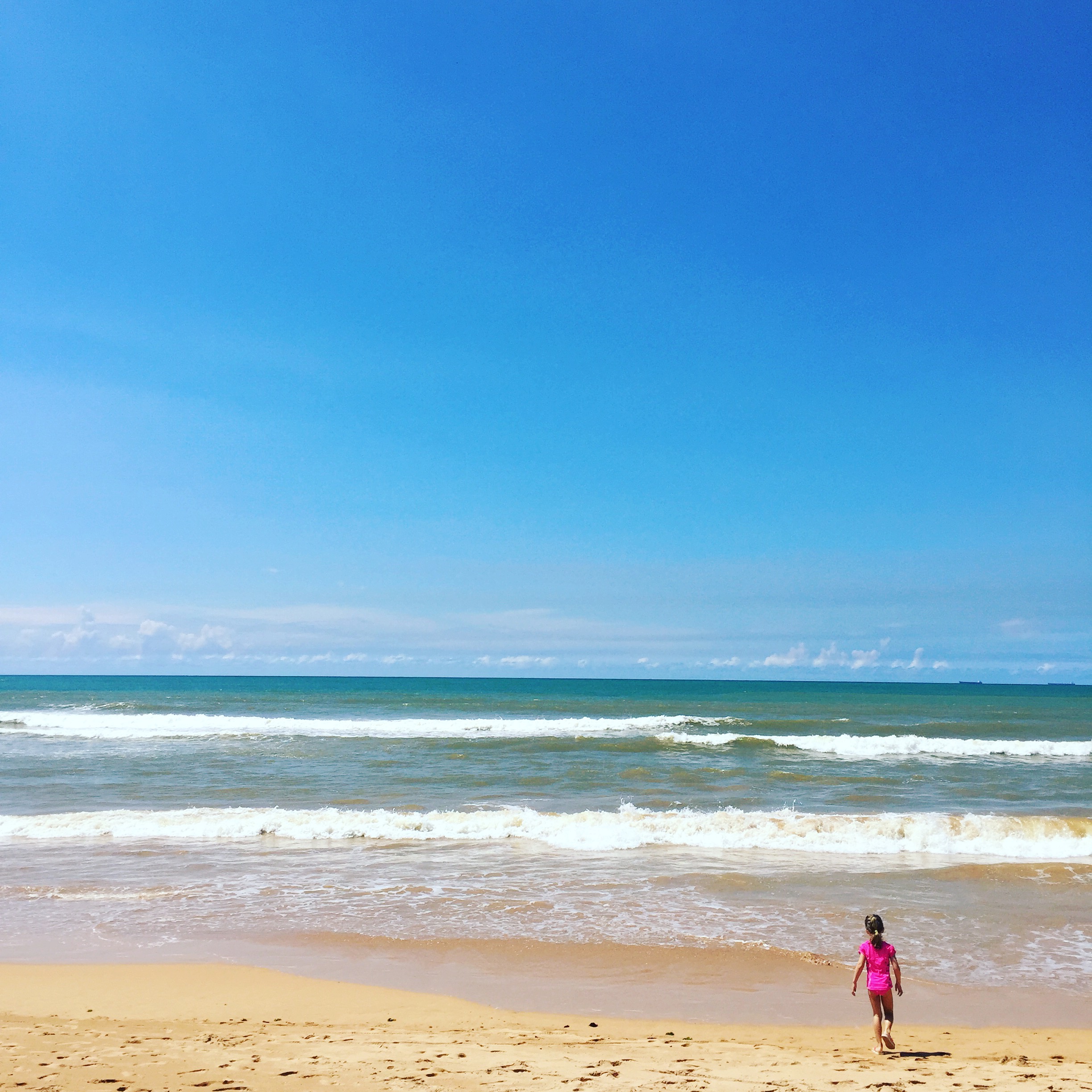 The World’s Pickiest Beachgoers